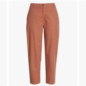 Eileen Fisher Terracotta Ankle Pants